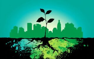 Don't Give Up the Fight